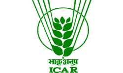 Logo 10