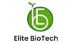 Logo 11