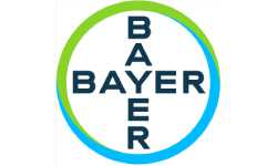 Logo 14
