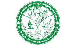 Logo 8
